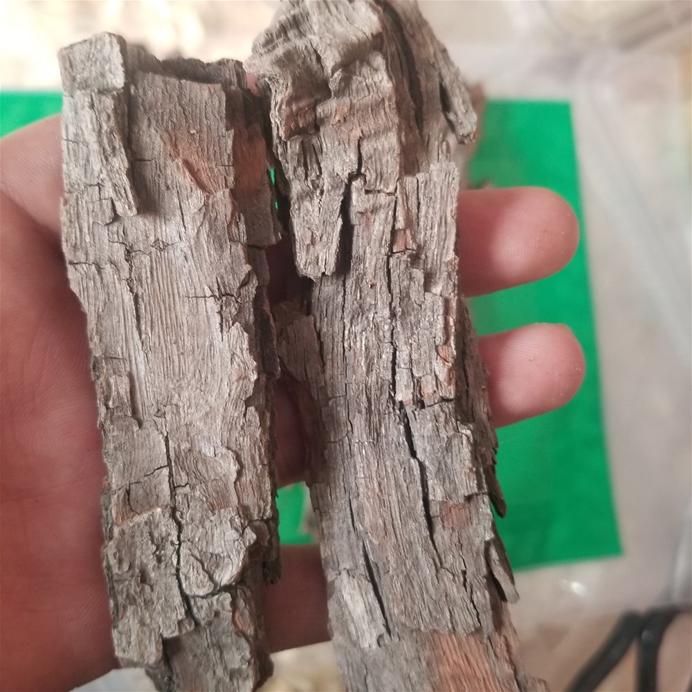 20190331_140416.jpg