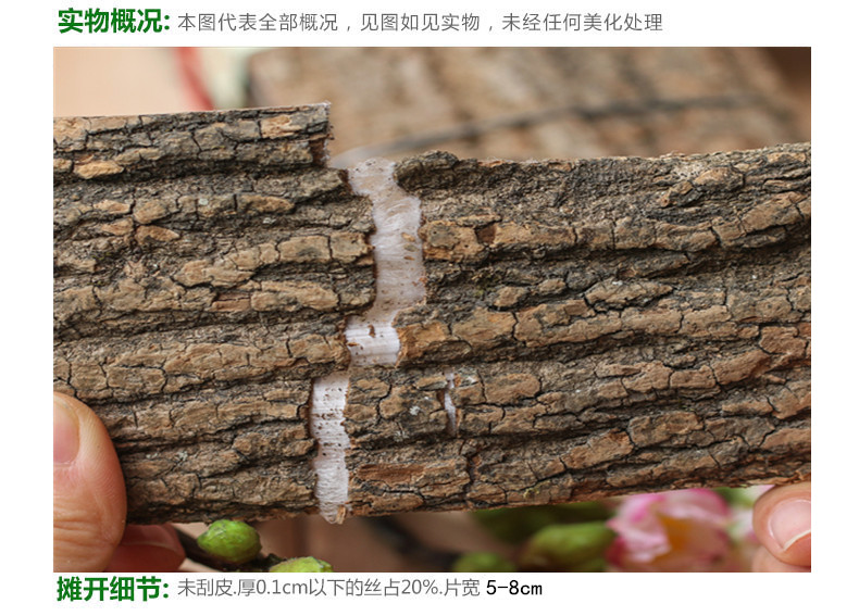 杜仲大块3.jpg
