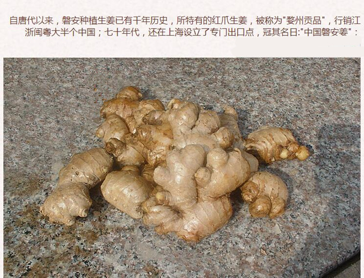 干姜3.jpg