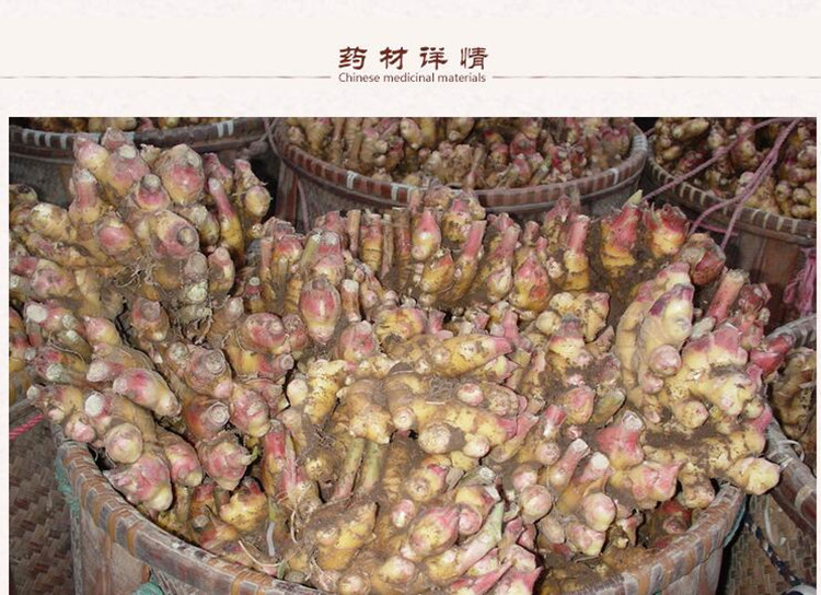 干姜2.jpg