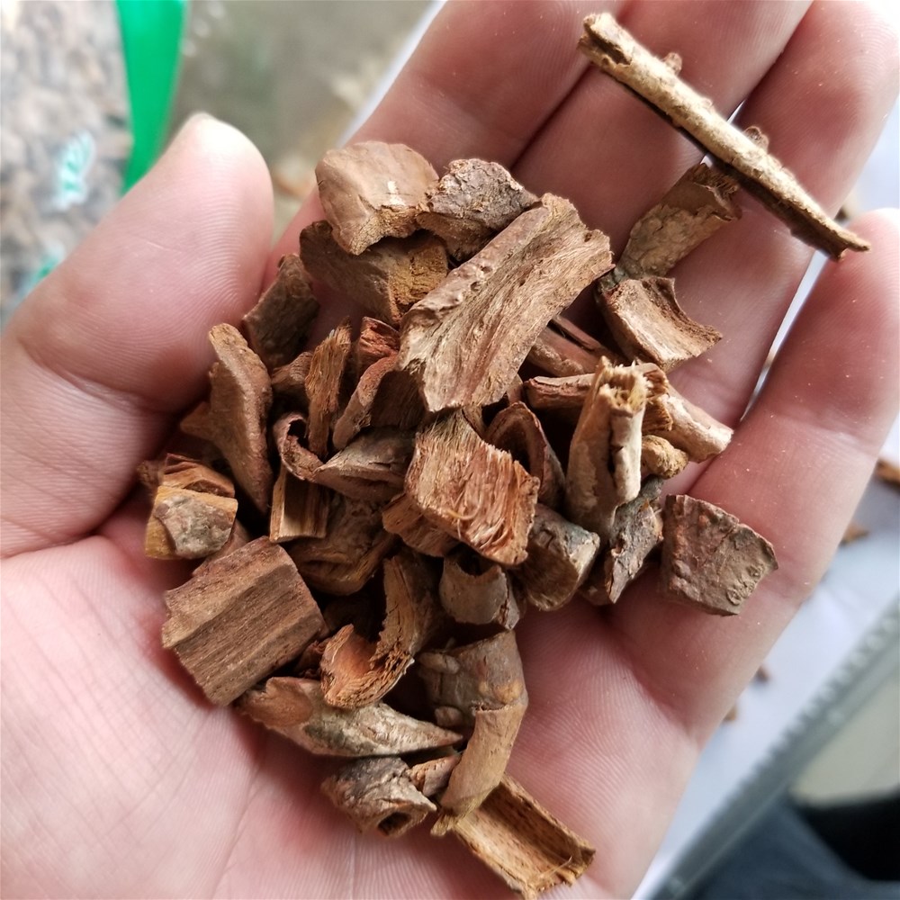 20190331_131849.jpg