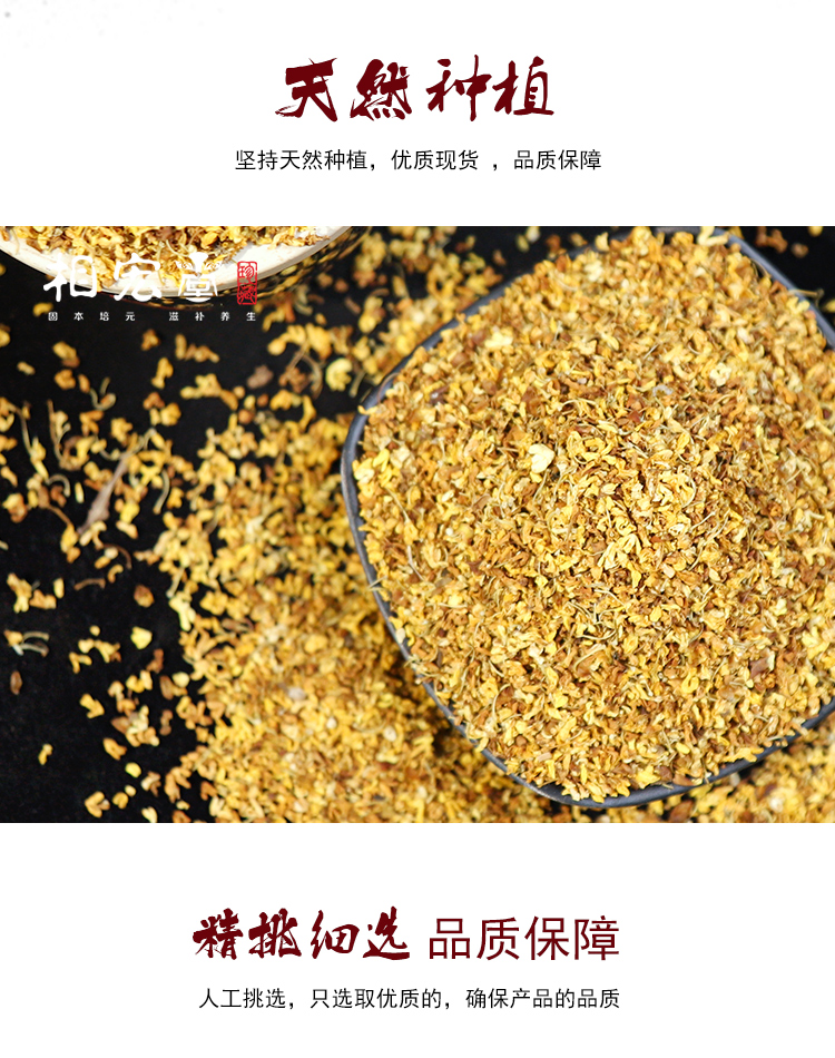 桂花4.jpg