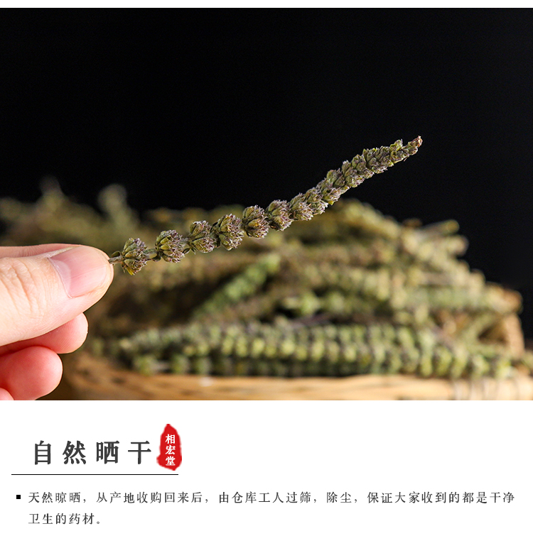 荆芥穗_04.jpg