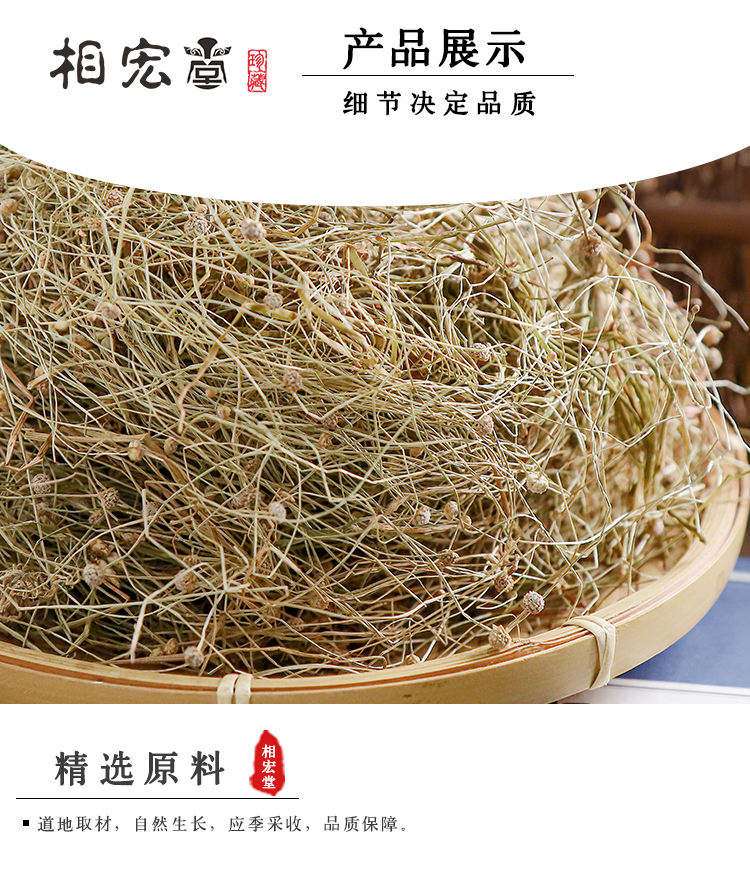 谷精草_03.jpg