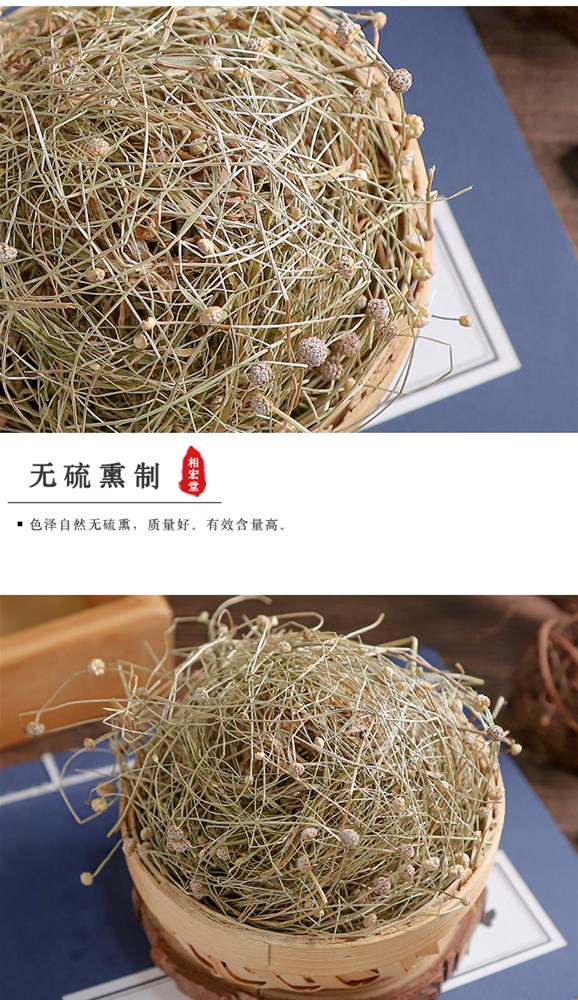 谷精草_06.jpg