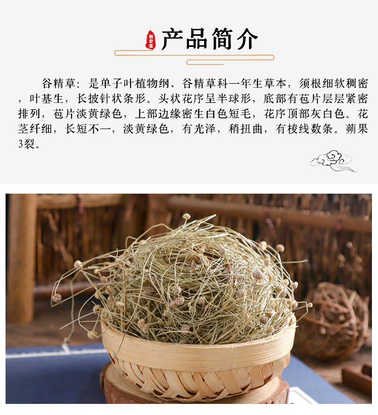 谷精草_07.jpg