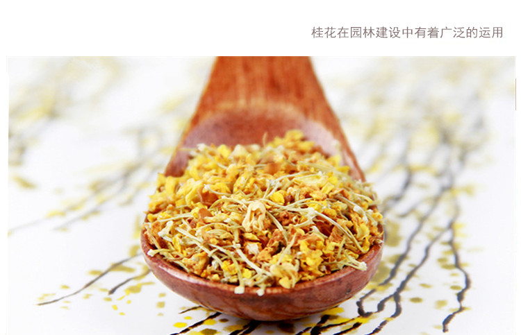 桂花4.jpg