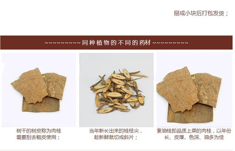 肉桂4.jpg