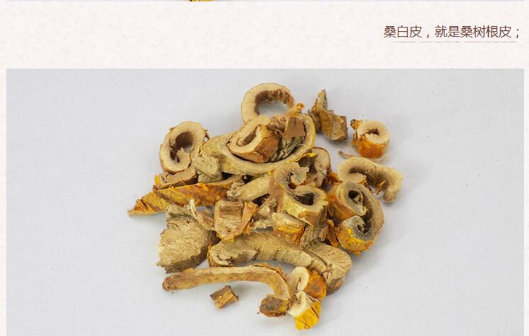 桑白皮3.jpg