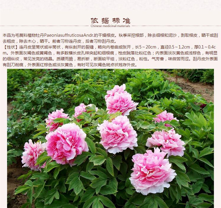 抽芯牡丹皮6.jpg
