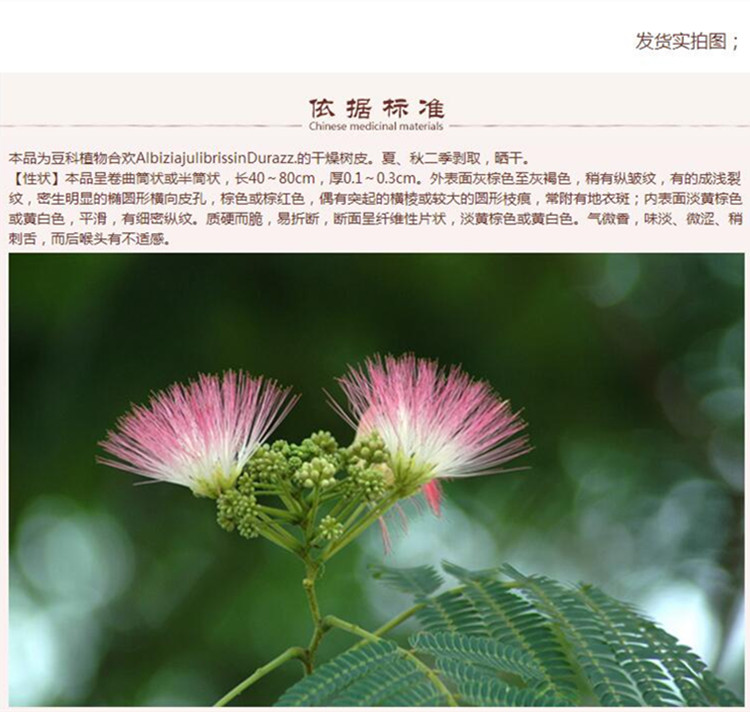 合欢皮5.jpg