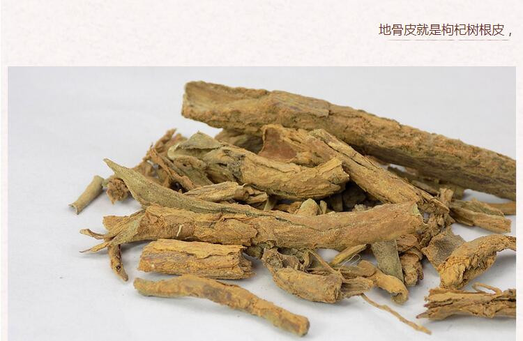 地骨皮3.jpg