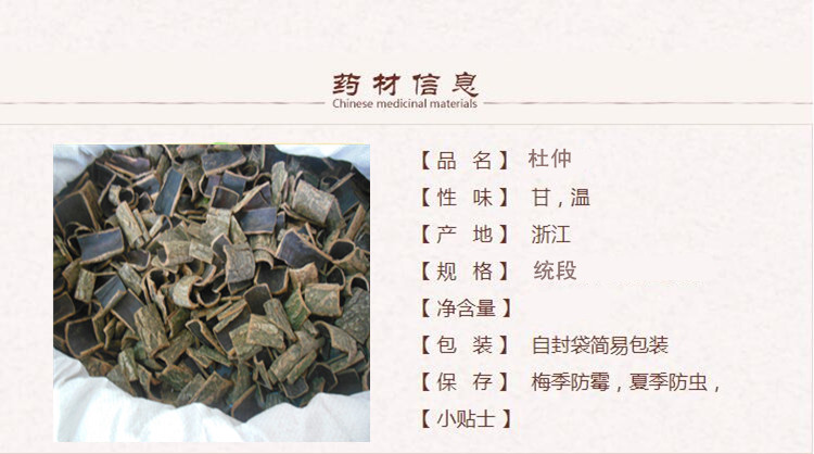杜仲1_副本.jpg