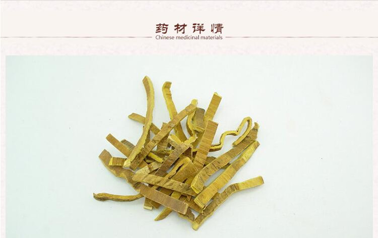 黄柏2.jpg