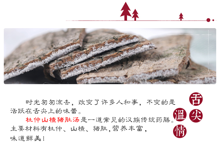 杜仲8.jpg