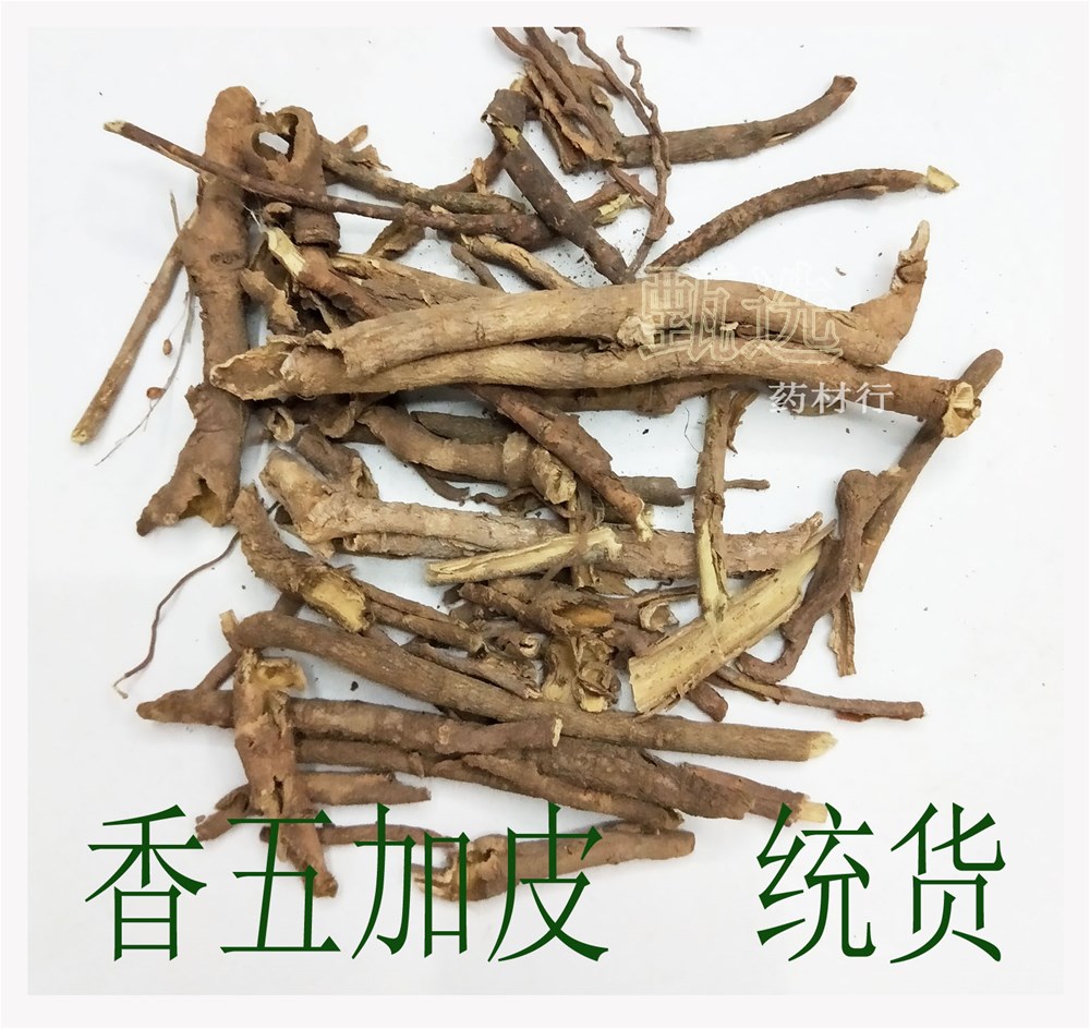 香五加皮个子水印1.jpg