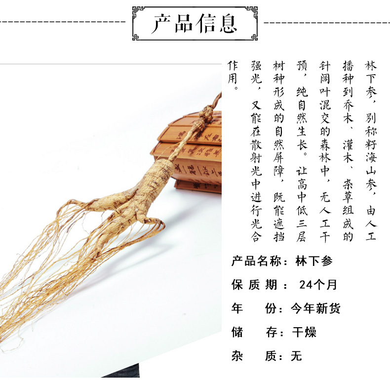 林下参_02.jpg