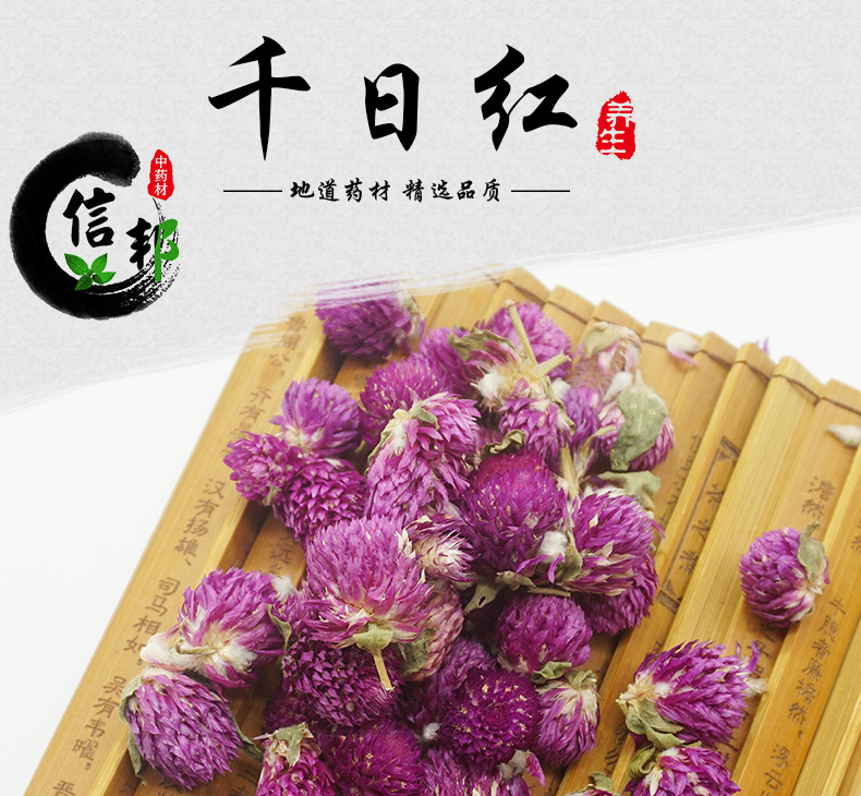 千日红详情_01.jpg