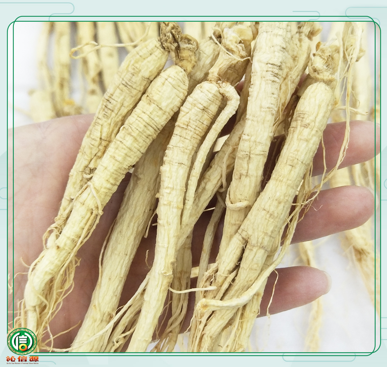 rensheng±120zhi011.jpg