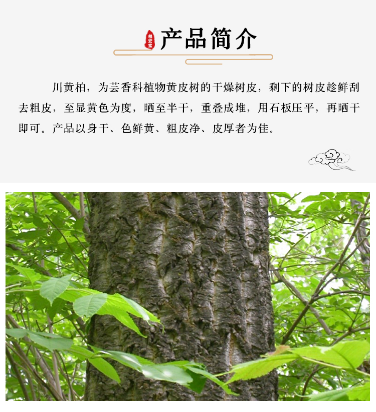 去皮黄柏 (7).jpg