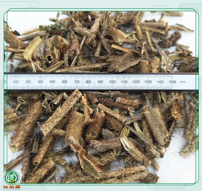 ciwujiapichouxin9cheng08.jpg