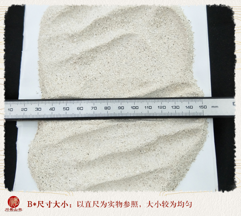cstcssnlonggufen09.jpg