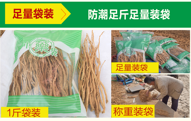 中药网-中条_13.jpg