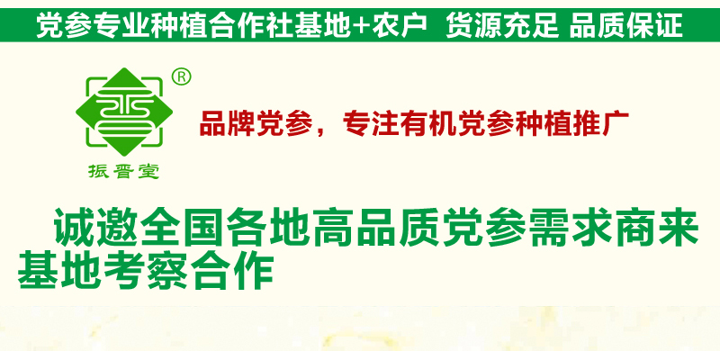 中药网-中条_15.jpg