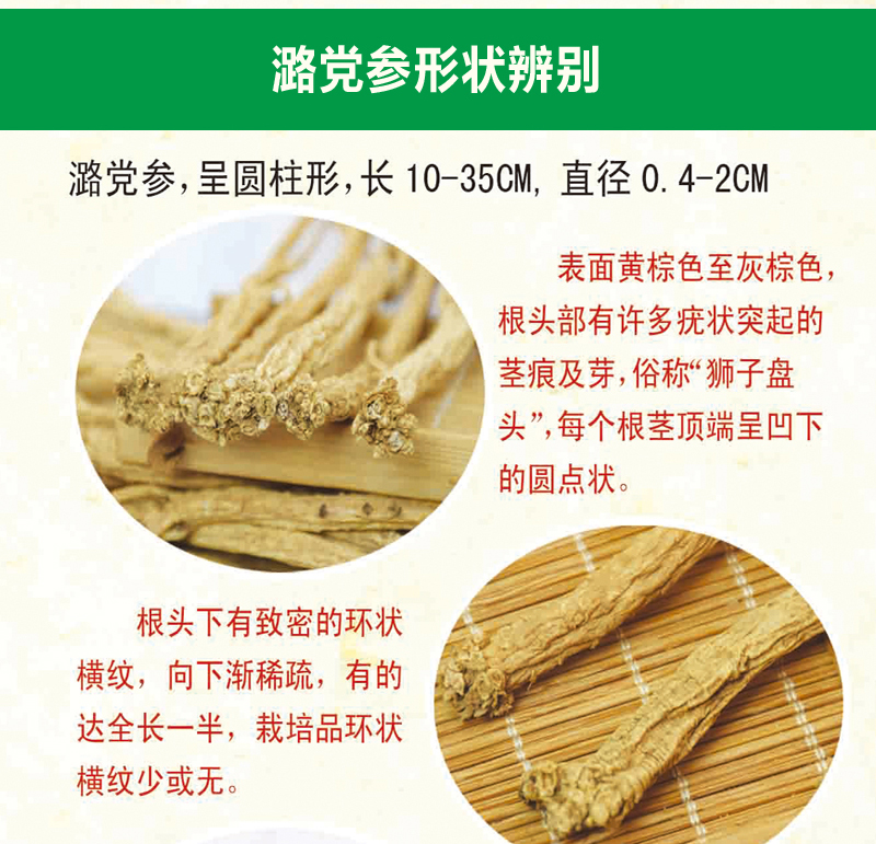 中药网-中条_17.jpg