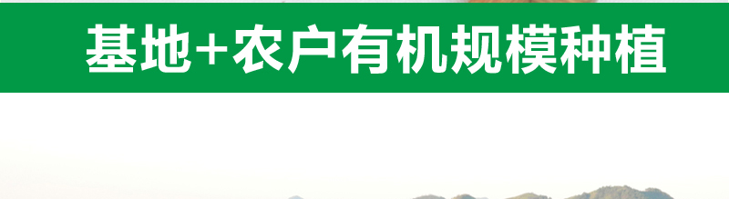 中药网-中条_04.jpg