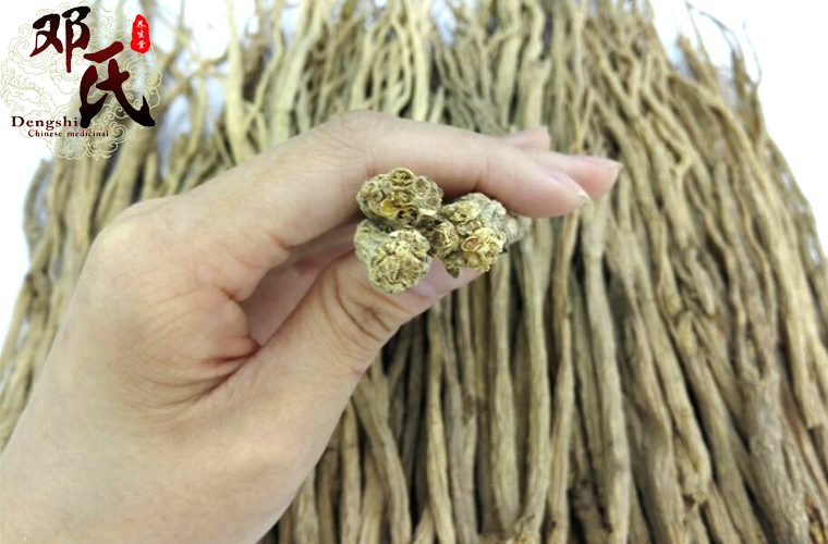 dangshengxiaotiaoyoual011.jpg