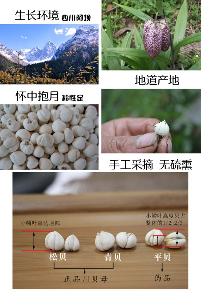 详情9-1.jpg