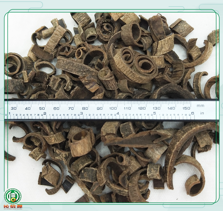 chaohoupusitong08.jpg