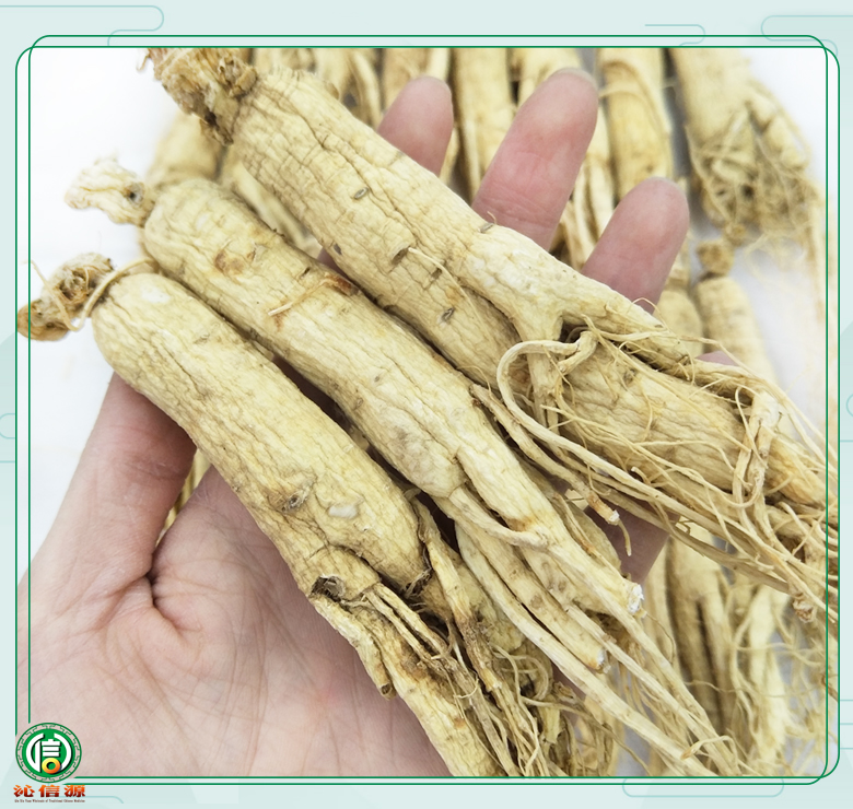 rensheng±20zhi08.jpg