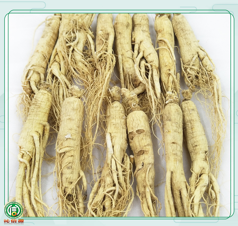 rensheng±20zhi013.jpg