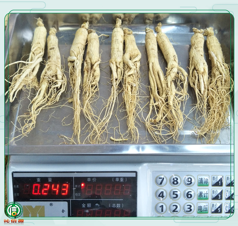 rensheng±20zhi011.jpg