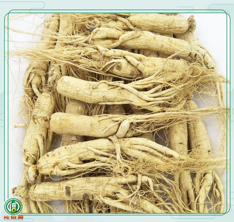 rensheng±20zhi010.jpg