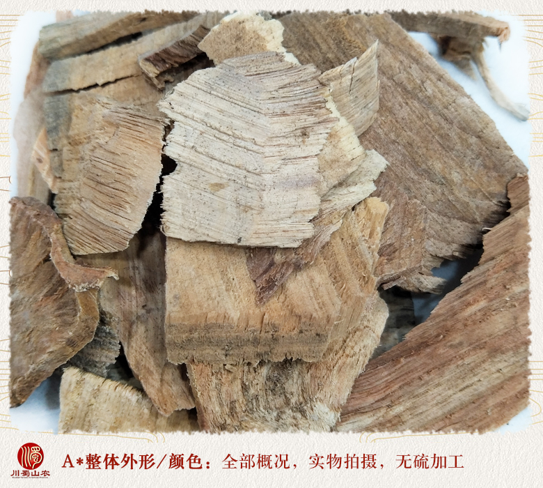 cstcssnyousongjietong08.jpg