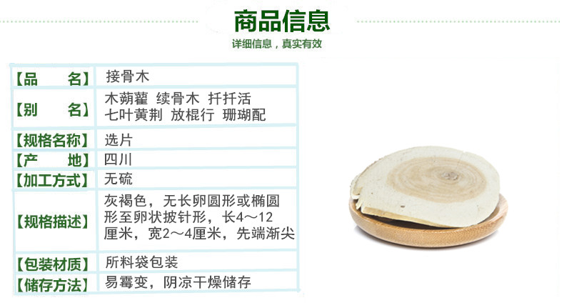 接骨木2.jpg