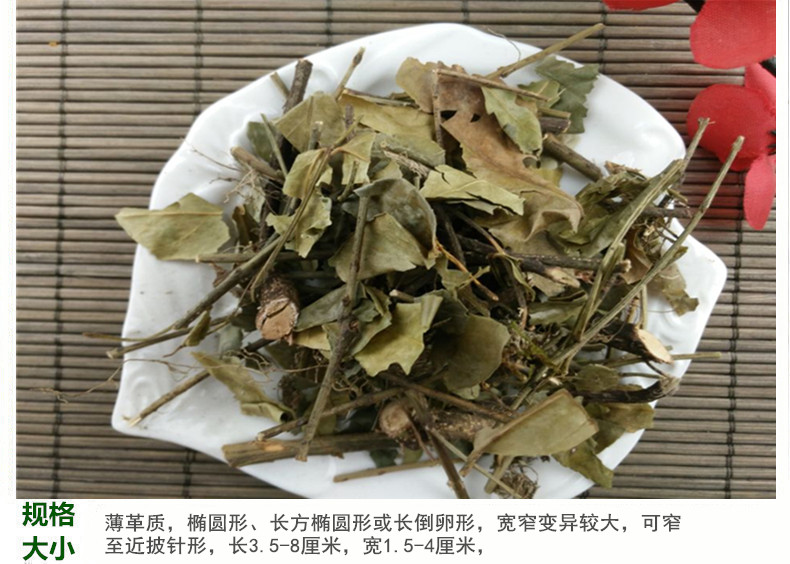 扶芳藤5.jpg