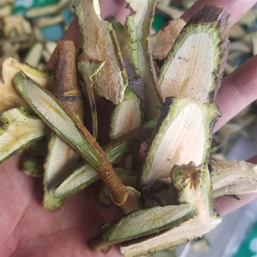 20190327_133131.jpg