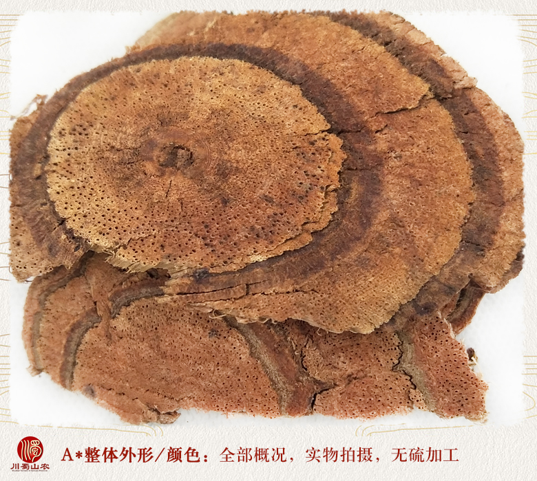 cstcssnjixuetengwuliupian08.jpg