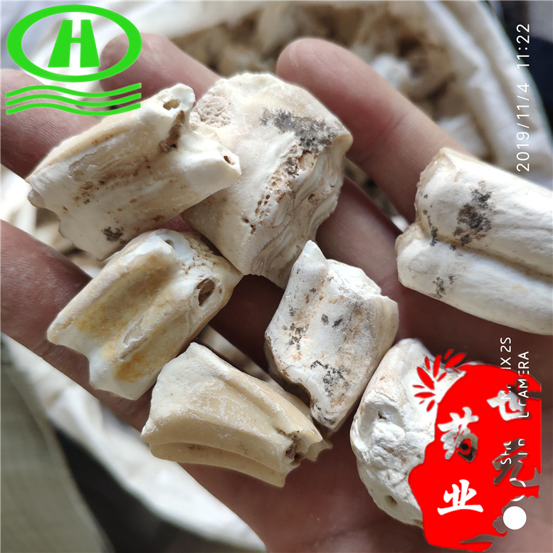 龙齿恐龙牙鑫强600~01_副本.jpg