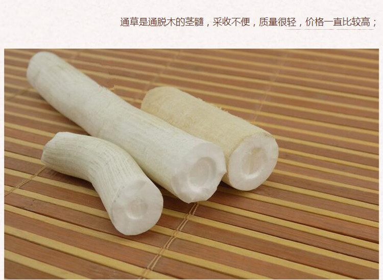 大通草3.jpg