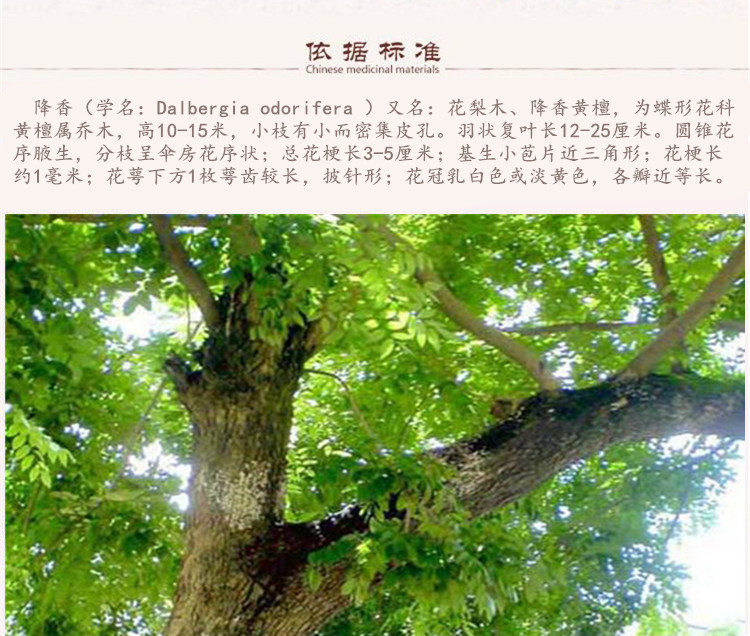 降香5.jpg