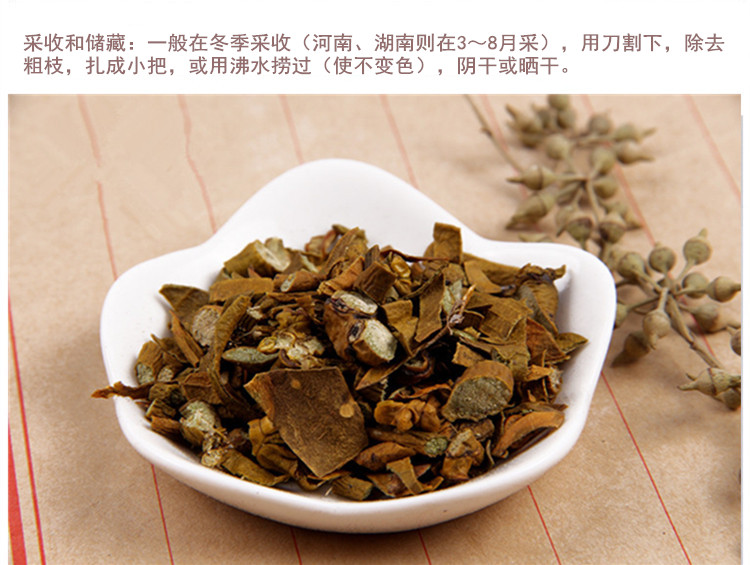 桑寄生4.jpg