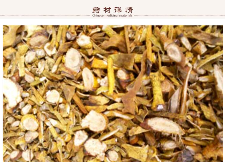桑寄生2.jpg
