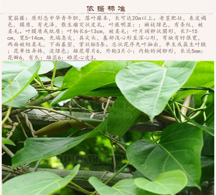 宽藤9.jpg