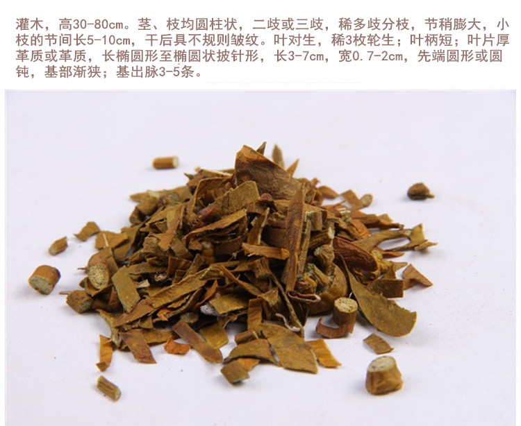 桑寄生1.jpg