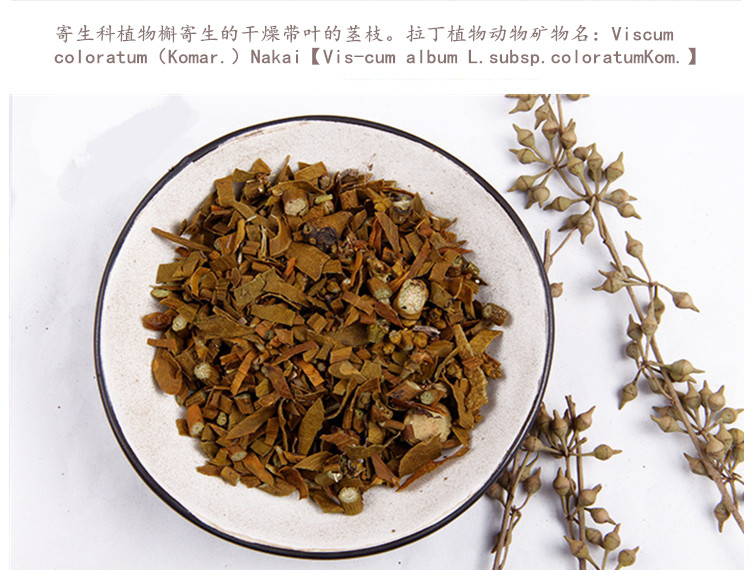 桑寄生3.jpg